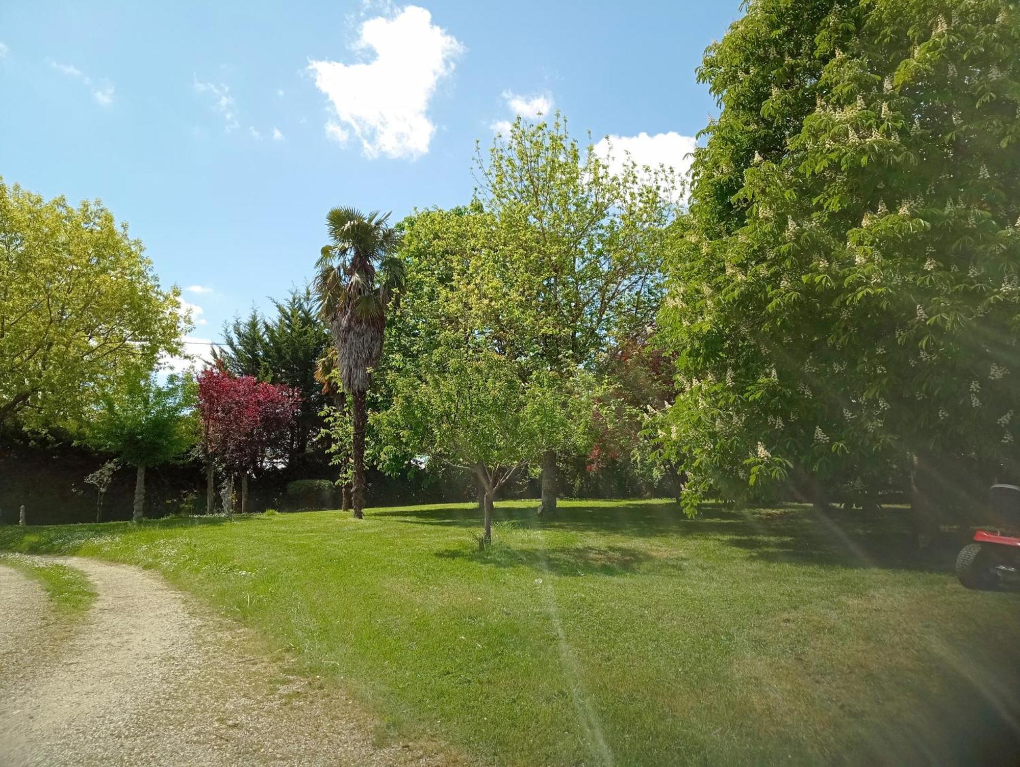 La Canette De Phil - Chambre D'Hotes, Independante - Vue Sur Piscine Samatan ภายนอก รูปภาพ